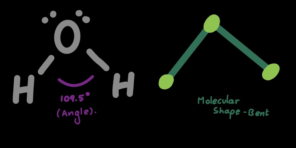 Molecule showing one bent molecular shape